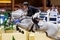 FEI Jumping World Cup Final Round 1